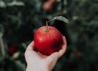 apple health jobs
